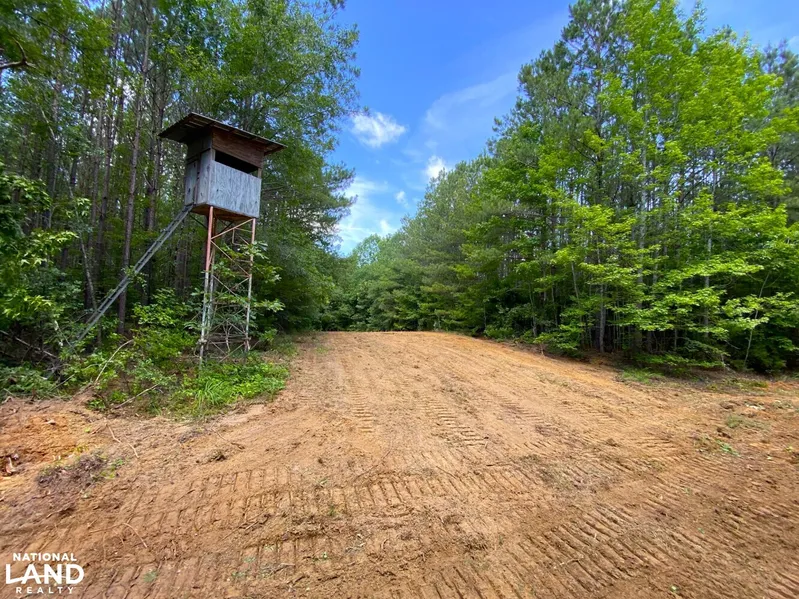 Recreational Property for sale in Pickens County, Alabama