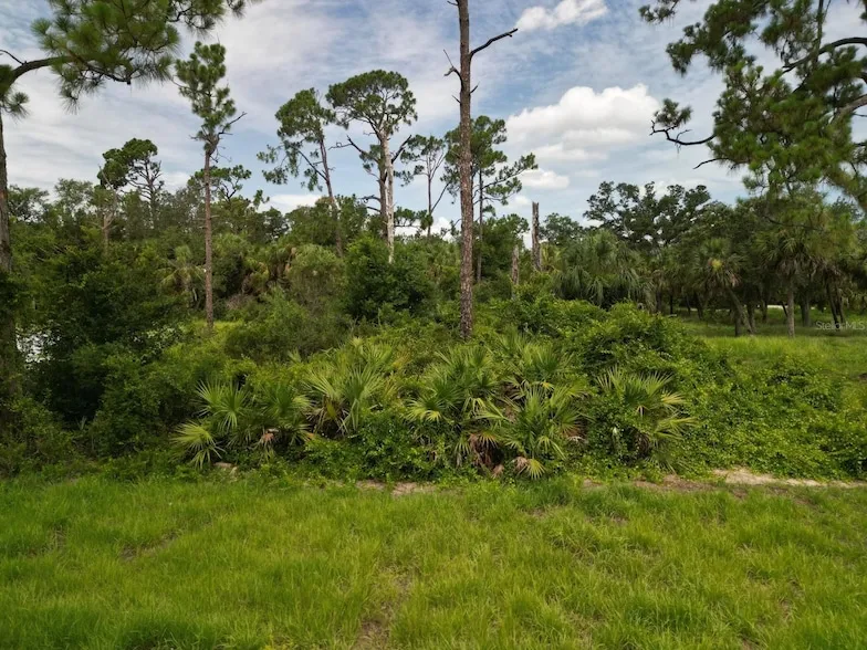 Undeveloped Land for sale in Charlotte County, Florida