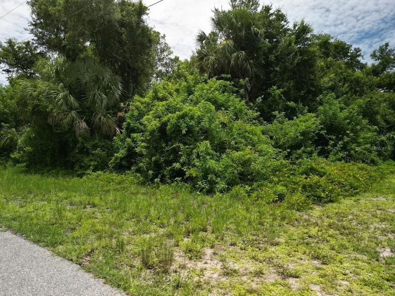 Undeveloped Land for sale in Charlotte County, Florida