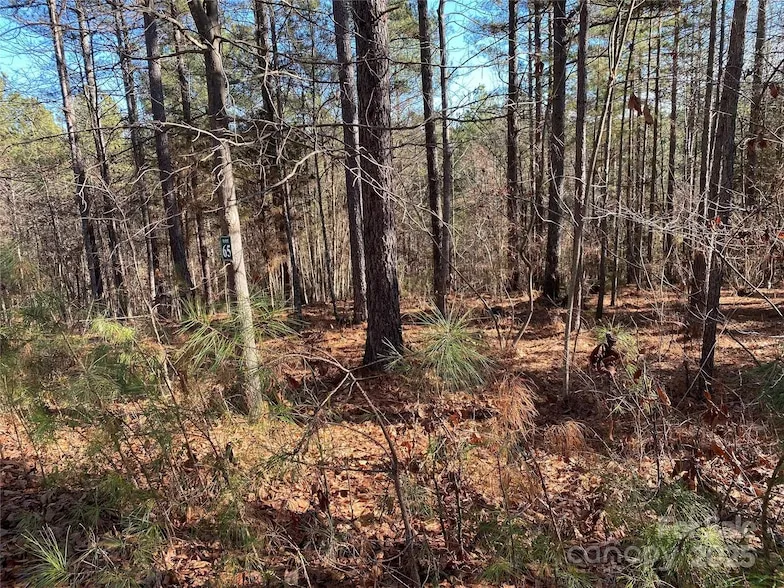 Undeveloped Land for sale in Burke County, North Carolina