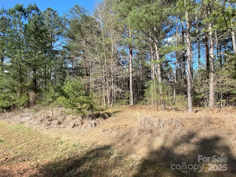 Undeveloped Land for sale in Burke County, North Carolina
