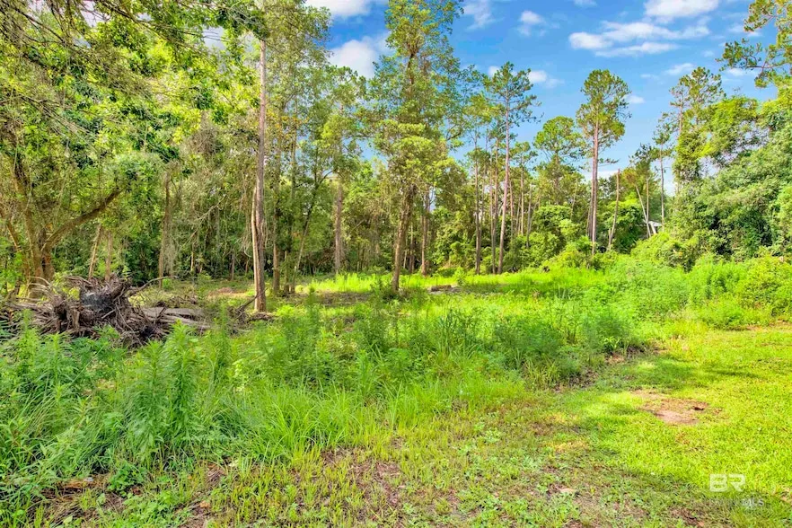 Residential Property for sale in Baldwin County, Alabama