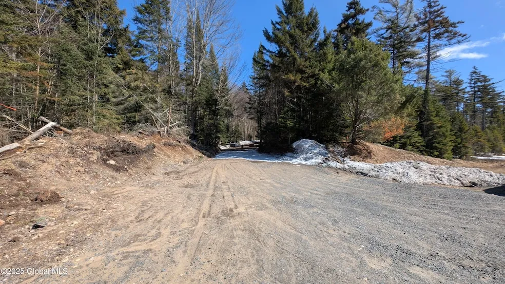 Undeveloped Land for sale in Hamilton County, New York