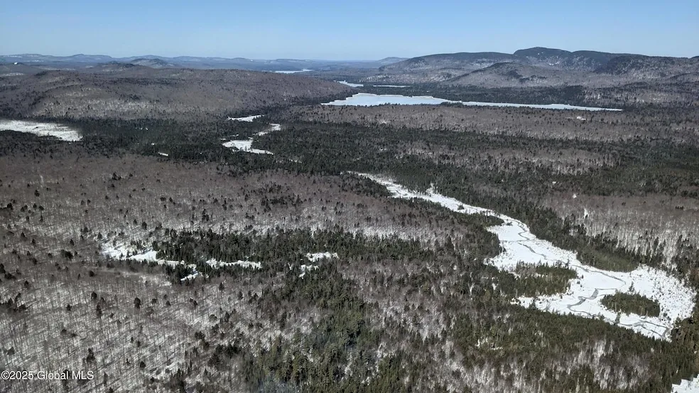 Undeveloped Land for sale in Hamilton County, New York