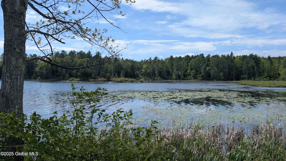 Undeveloped Land for sale in Washington County, New York