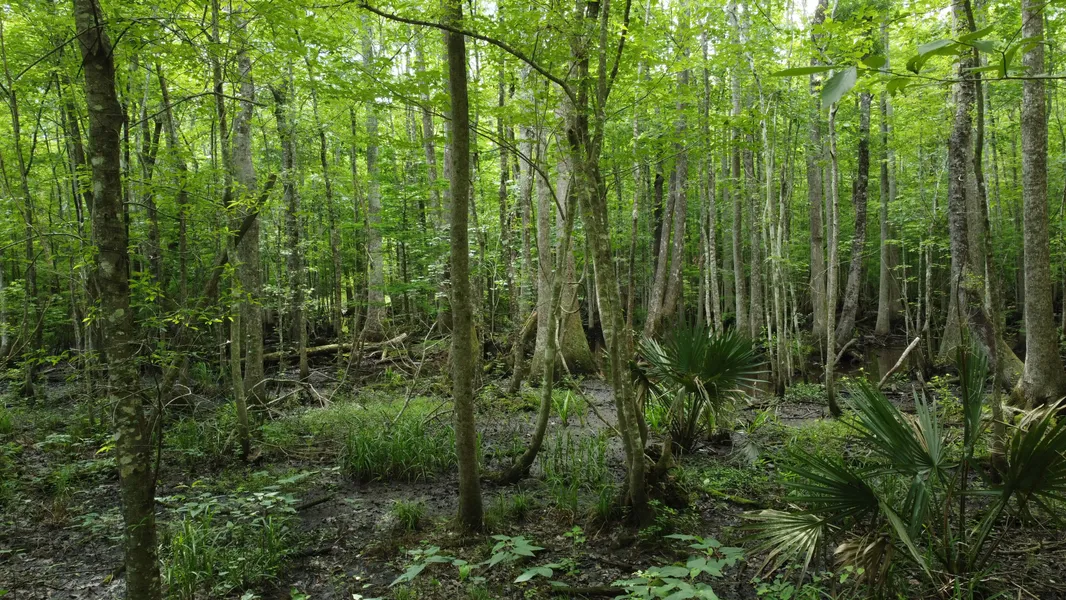 Farm Property for sale in Colleton County, South Carolina