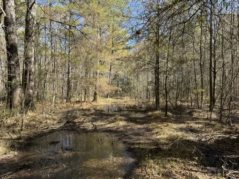 Recreational Property for sale in Colleton County, South Carolina