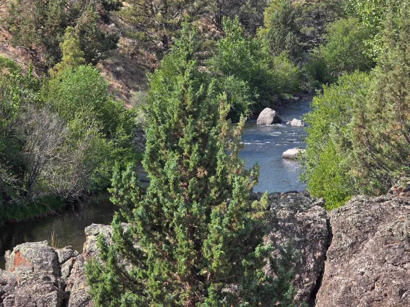 Recreational Property for sale in Lake County, Oregon