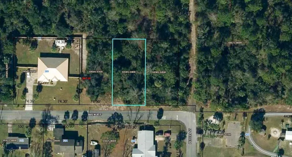 Undeveloped Land for sale in Gulf County, Florida