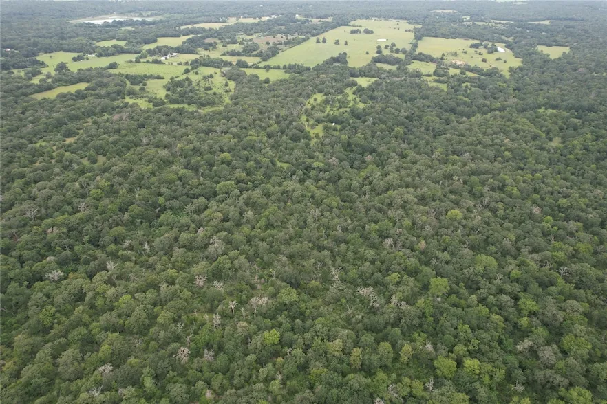 Undeveloped Land for sale in Robertson County, Texas
