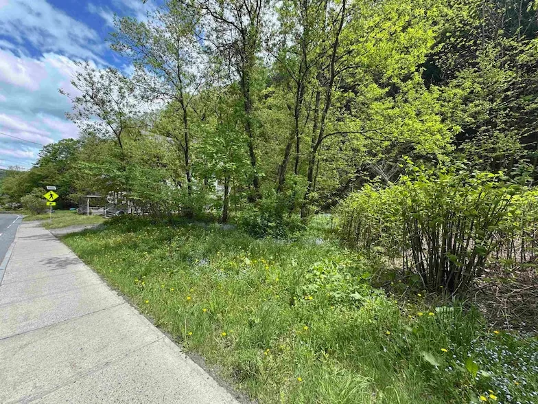 Undeveloped Land for sale in Washington County, Vermont