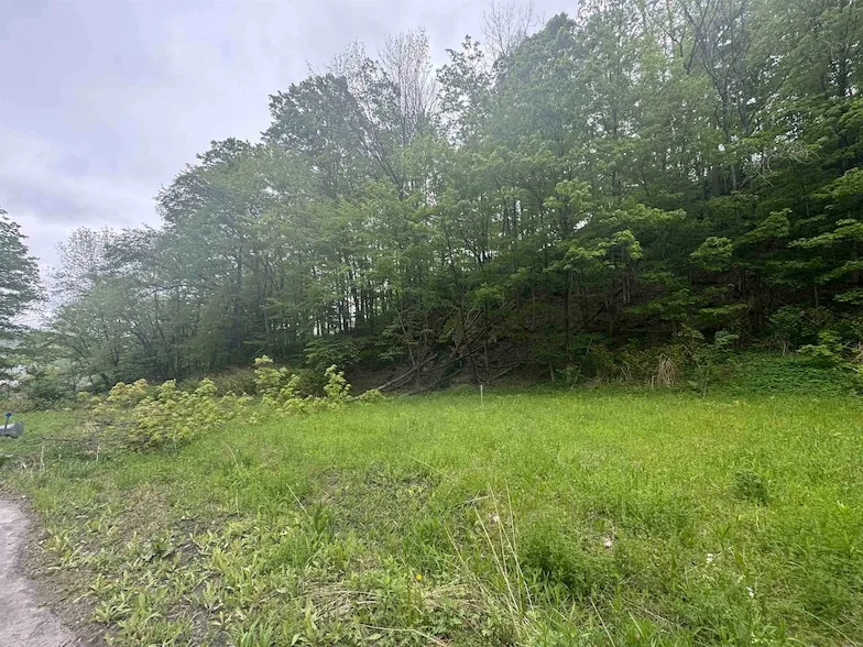 Undeveloped Land for sale in Washington County, Vermont