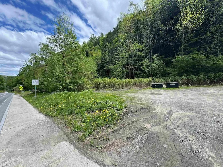 Undeveloped Land for sale in Washington County, Vermont