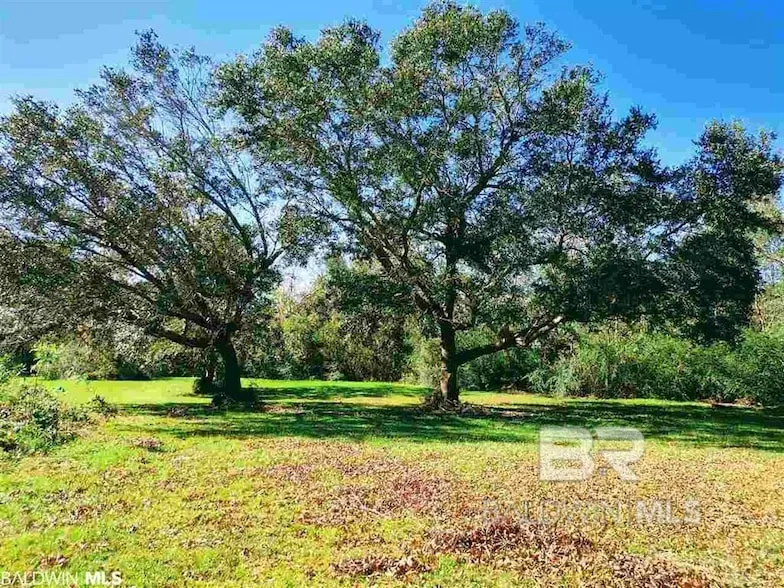 Undeveloped Land for sale in Baldwin County, Alabama