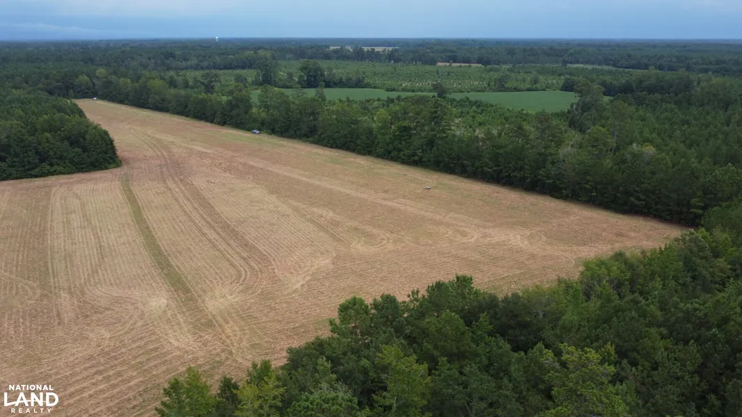 Recreational Property for sale in Williamsburg County, South Carolina