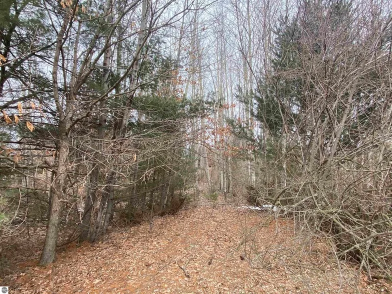 Undeveloped Land for sale in Grand Traverse County, Michigan