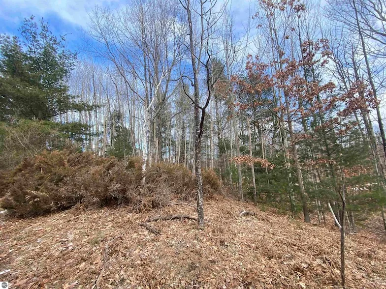Undeveloped Land for sale in Grand Traverse County, Michigan