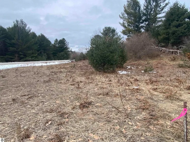 Undeveloped Land for sale in Grand Traverse County, Michigan