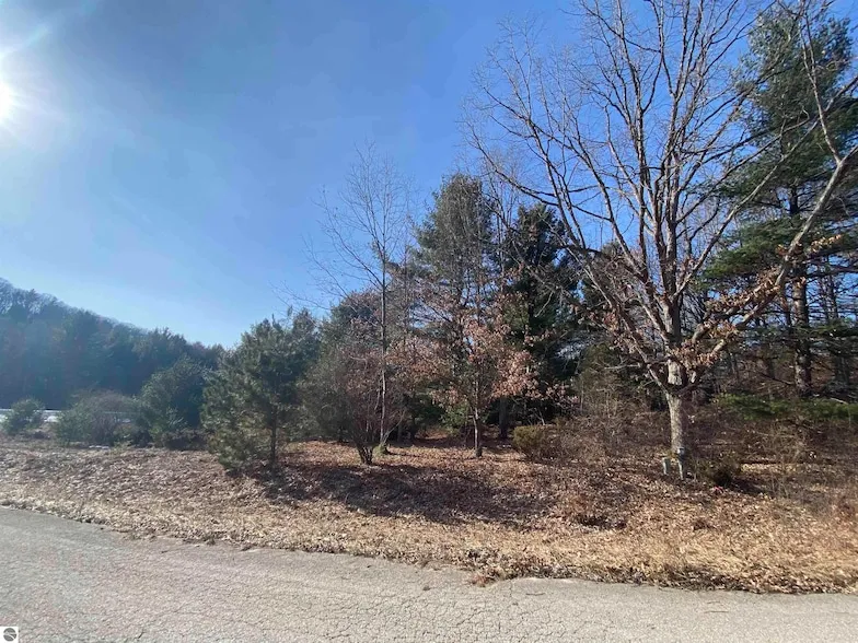 Undeveloped Land for sale in Grand Traverse County, Michigan