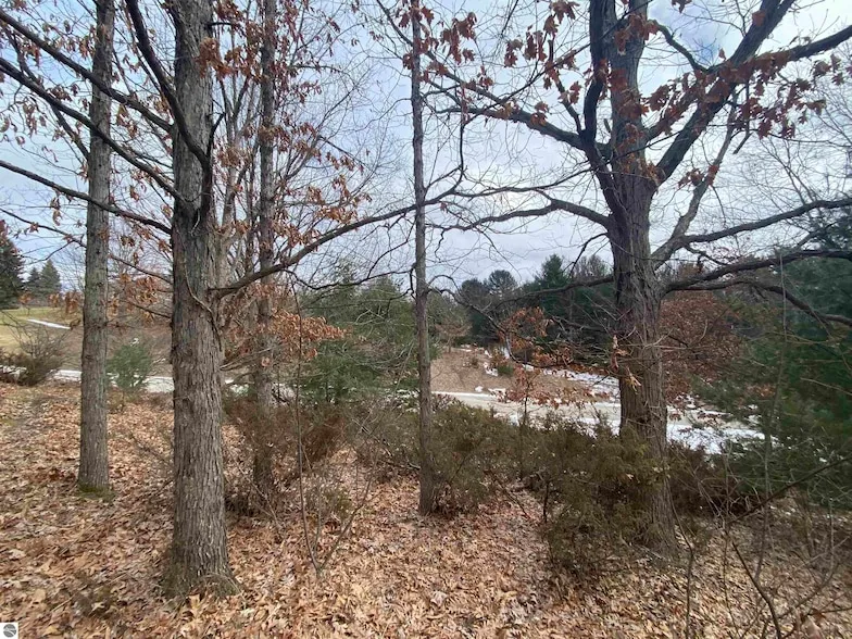 Undeveloped Land for sale in Grand Traverse County, Michigan
