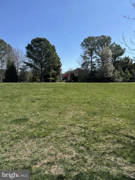 Undeveloped Land for sale in Sussex County, Delaware