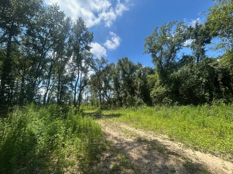 Recreational Property for sale in Mobile County, Alabama