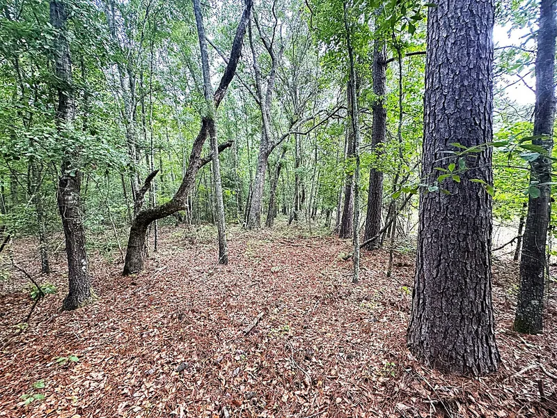Recreational Property for sale in Dorchester County, South Carolina