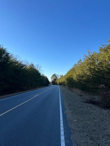 Timberland Property for sale in Lee County, South Carolina