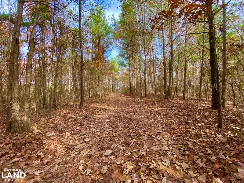 Recreational Property in Hale County, Alabama