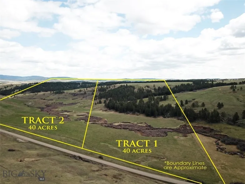 Undeveloped Land for sale in Fergus County, Montana