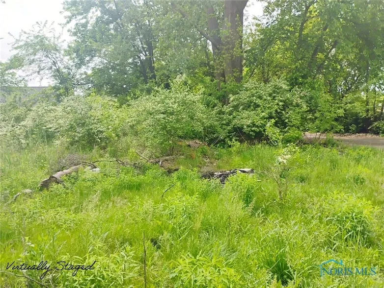 Undeveloped Land for sale in Lucas County, Ohio
