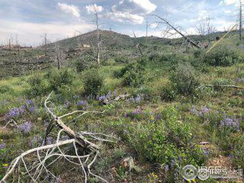 Undeveloped Land for sale in Larimer County, Colorado