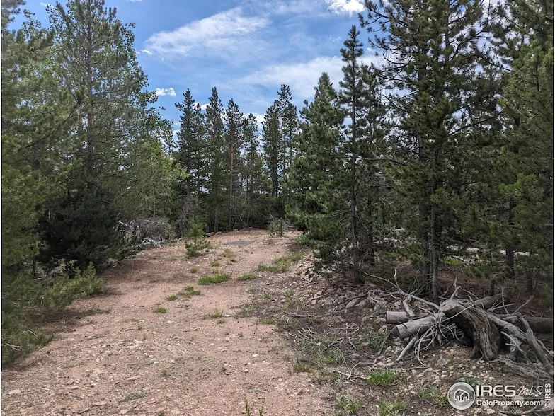 Undeveloped Land for sale in Larimer County, Colorado
