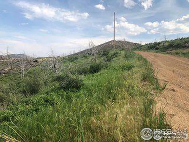 Undeveloped Land for sale in Larimer County, Colorado
