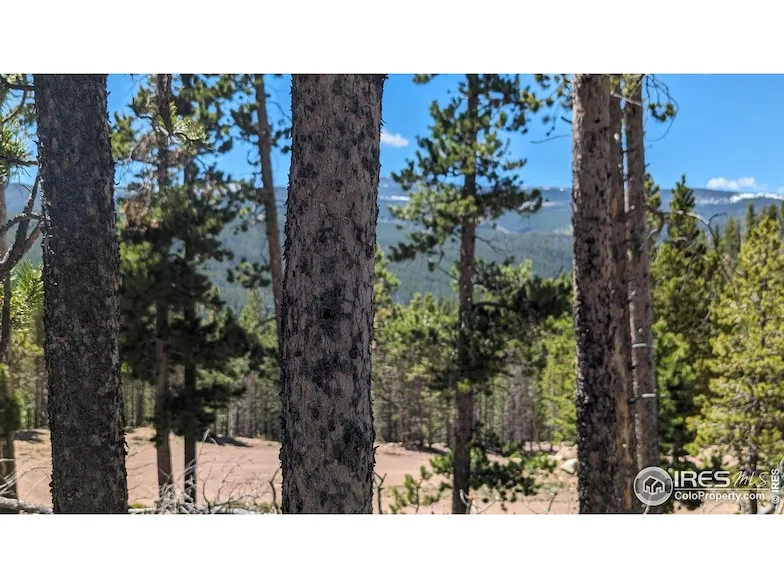 Undeveloped Land for sale in Larimer County, Colorado
