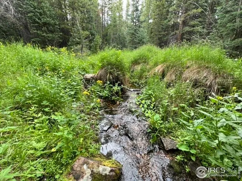 Undeveloped Land for sale in Larimer County, Colorado