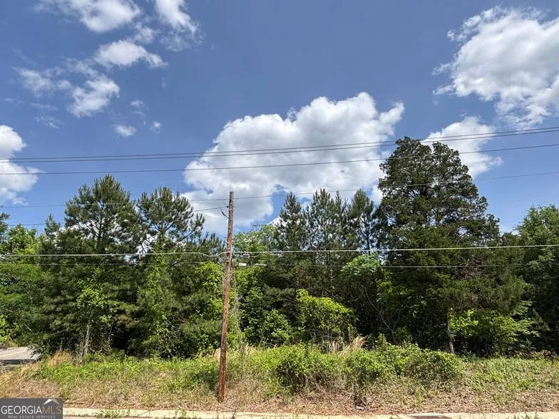 Undeveloped Land for sale in Bibb County, Georgia