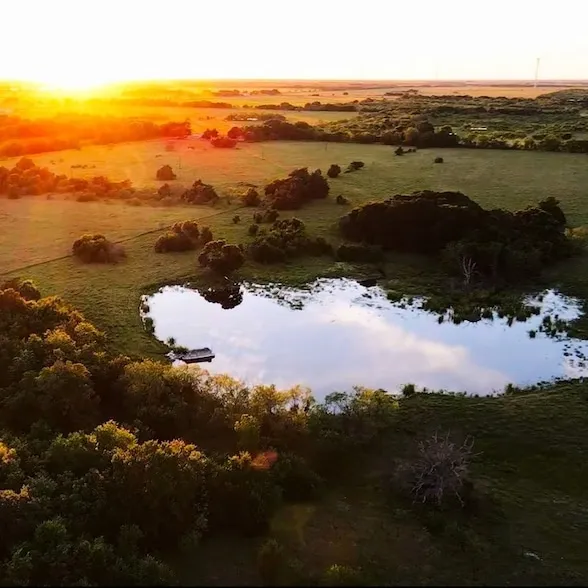 Undeveloped Land for sale in Navarro County, Texas