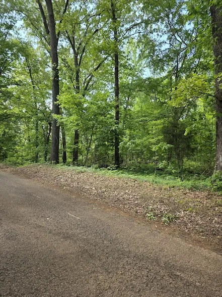 Undeveloped Land for sale in Montgomery County, Tennessee