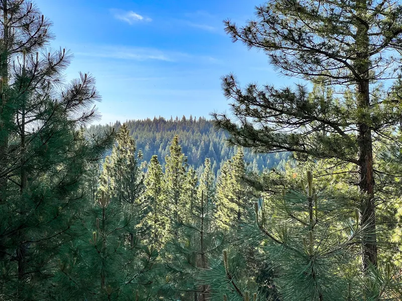 Recreational Property for sale in Modoc County, California